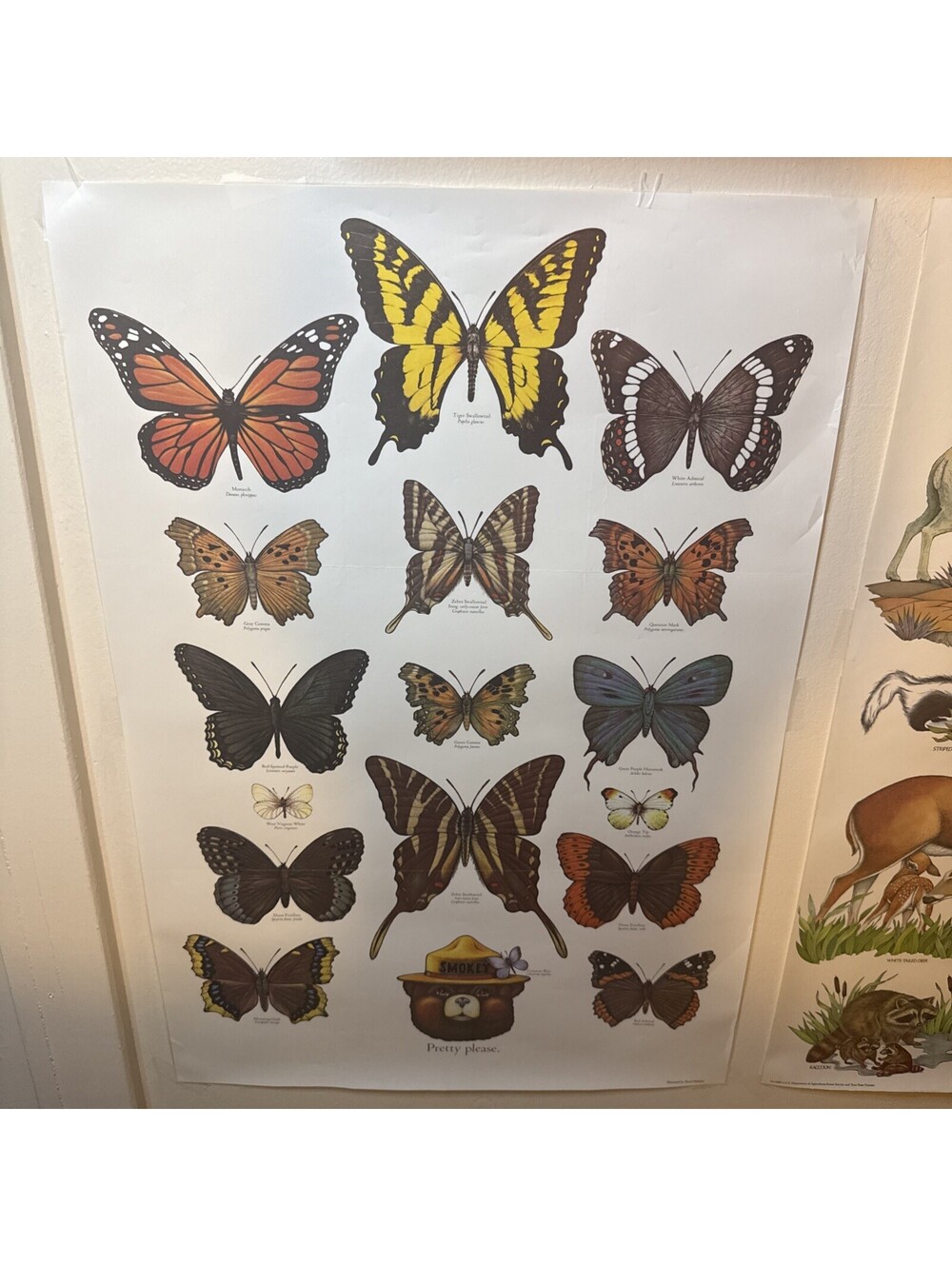 Vintage 1979 Smoky Bear Forest Service Poster butterflies Animals Laminated Lot